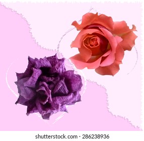 Faded and blooming roses.