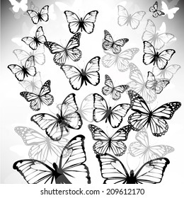 faded butterfly fly up. Vector