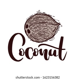 Faded hand drawn coconut background. Whole coconut with lettering. Engraved style. Best for organic logo, body cream label, oil, cosmetic, tropical goods