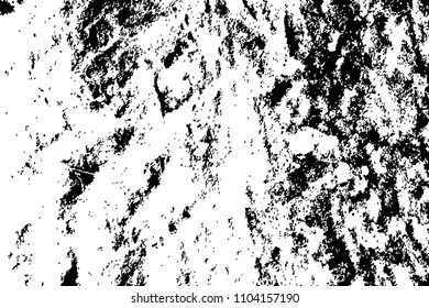 Faded wooden texture. Rough timber black and white vector texture. Distressed tree bark surface. Obsolete timber structure. Natural lumber grit and scratch. Aged worn vintage overlay. Wood surface
