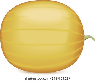 Faerie watermelon. Citrullus lanatus. Fruits and vegetables. Isolated vector illustration.