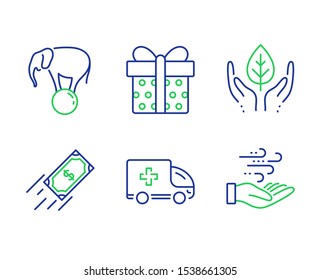 Fair trade, Fast payment and Gift box line icons set. Ambulance emergency, Elephant on ball and Wind energy signs. Safe nature, Finance transfer, Present package. Medical transport. Vector