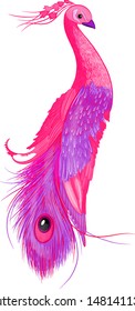 fairy bird peacock pink purple