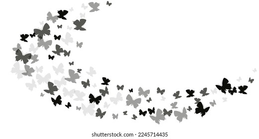 Fairy black butterflies abstract vector background. Spring pretty moths. Wild butterflies abstract girly illustration. Tender wings insects graphic design. Fragile creatures.