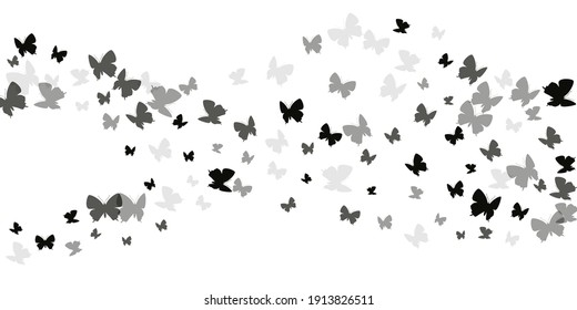 Mariposas negras de hadas aisladas ilustraciones vectoriales. Verano, bellos insectos. Sencillas mariposas aisladas fantasía papel tapiz. Delicadas polillas de alas patten. Criaturas del jardín.