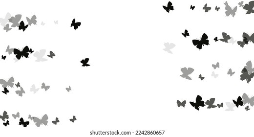 Märchenschwarze Schmetterlinge einzeln auf Vektorgrafik. Sommerliche kleine Motten. Einfache Schmetterlinge einzeln auf Babywallpaper. Die sanften Flügel insekten Grafikdesign. Garten Wesen.