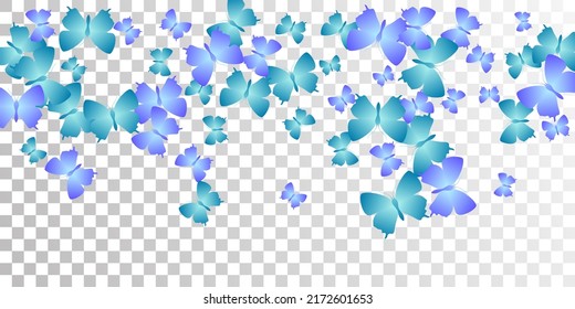 Fairy blue butterflies cartoon vector illustration. Spring colorful moths. Detailed butterflies cartoon girly background. Gentle wings insects patten. Fragile creatures.