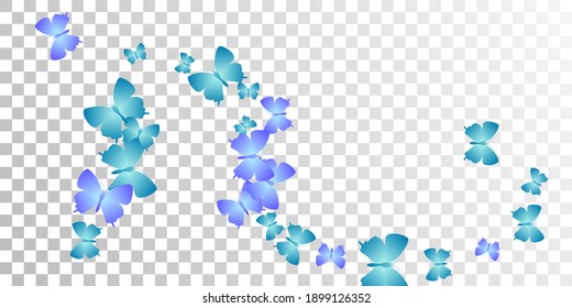 Fairy blue butterflies flying vector background. Summer cute insects. Detailed butterflies flying children illustration. Sensitive wings moths graphic design. Tropical creatures.