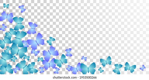 Fairy blue butterflies isolated vector wallpaper. Spring funny moths. Wild butterflies isolated girly illustration. Gentle wings insects patten. Tropical creatures.