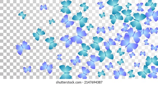Mariposas azules lecheras aisladas de papel tapiz vectorial. Las polillas de verano. Las mariposas detalladas aisladas de fondo soñador. Las alas tender los insectos patten. Seres tropicales.