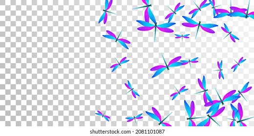 Fairy blue purple dragonfly flat vector wallpaper. Spring ornate damselflies. Detailed dragonfly flat girly background. Delicate wings insects patten. Tropical creatures