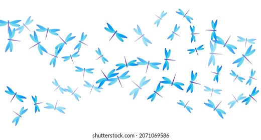 Fairy cyan blue dragonfly isolated vector illustration. Spring little insects. Decorative dragonfly isolated girly wallpaper. Tender wings damselflies graphic design. Nature beings