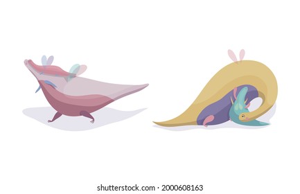 Fairy Dragon with Small Wings Playing with Its Cub Vector Set