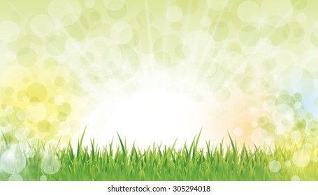 Fairy grass