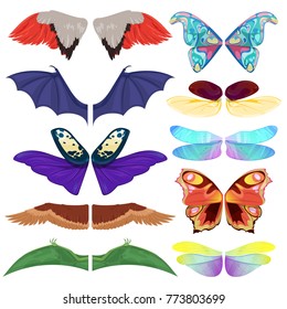 Fairy insect wings vector flying kids carnival costume winged bird bat and butterfly insects with wingspan for halloween party or Christmas isolated on a white background