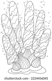 Fairy mushrooms with spiral caps. Vector illustration of children's coloring book