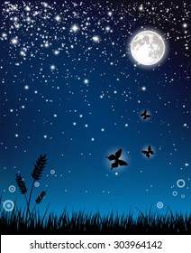 Fairy night