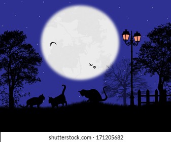 Fairy night background with cats on the garden, vector illustration