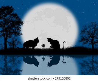 Fairy night background with cats and reflexion on water, vector illustration