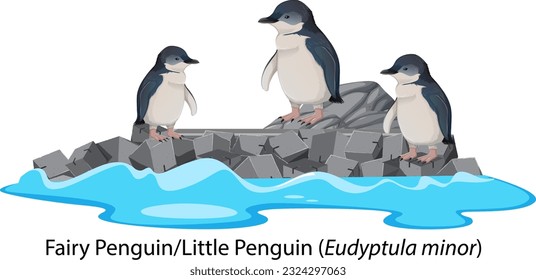 Fairy penguin or little penguin cartoon on the rock illustration