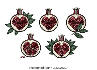 Fairy pomegranates graphic vector set  hand drawn sketches  pomegranates symbols and heart shaped seeds inside