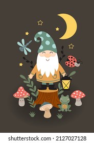 fairy poster with gnome, insect, frog and mushrooms