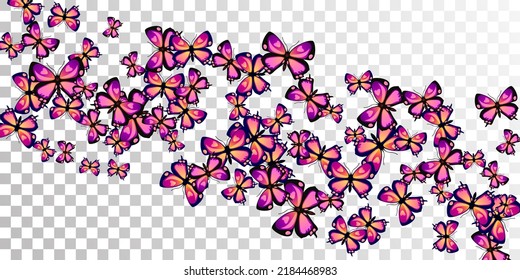 Fairy purple butterflies abstract vector illustration. Spring vivid moths. Simple butterflies abstract dreamy background. Gentle wings insects patten. Fragile beings.