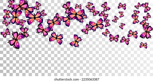 Las mariposas púrpura hadas