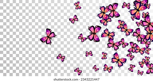 Fairy purple butterflies abstract vector background. Summer ornate moths. Fancy butterflies abstract girly wallpaper. Delicate wings insects graphic design. Fragile beings.