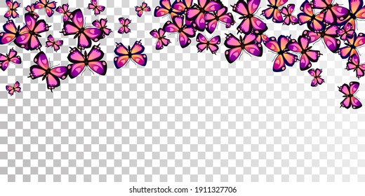 Fairy purple butterflies cartoon vector illustration. Spring beautiful insects. Detailed butterflies cartoon girly wallpaper. Sensitive wings moths graphic design. Fragile creatures.