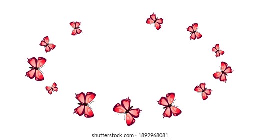 Las mariposas rojas de hadas abstractas ilustran el vector. Las lindas polillas de verano. Sencillas mariposas abstractas carpintería de caracol. Delicados insectos de alas patten. Criaturas de la naturaleza.