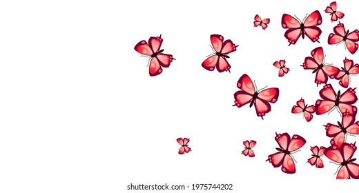 Fairy red butterflies abstract vector wallpaper. Summer ornate insects. Wild butterflies abstract dreamy background. Sensitive wings moths patten. Tropical creatures.