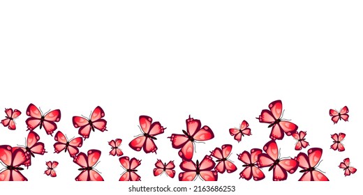 Fairy red butterflies abstract vector background. Summer pretty moths. Detailed butterflies abstract children illustration. Tender wings insects graphic design. Garden creatures.