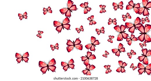 Fairy red butterflies flying vector illustration. Summer colorful moths. Detailed butterflies flying fantasy background. Sensitive wings insects patten. Tropical beings.