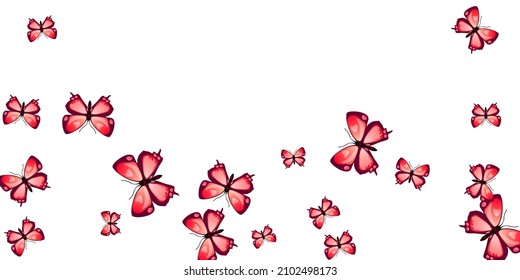 Fairy red butterflies flying vector illustration. Summer cute moths. Simple butterflies flying kids background. Delicate wings insects patten. Garden beings.