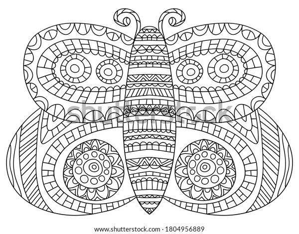 fairy tail butterfly coloring page stock stock vector