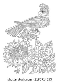 Fairy tale cockatoo parrot bird and fantasy jungle flowers, branches, leaves. Black  and White Coloring book page 