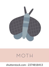 Fairy tale flashcard. Learning English words for kids. Cute hand drawn doodle educational card with night moth. Preschool learning material