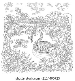 Fairy tale swan bird princess, water plant, lotus flower, lake, medieval stone bridge. Black and white Coloring book page for adults and children