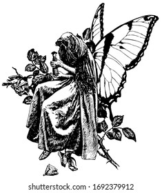 Fairy Of The Toys, This Picture Shows Fairy Sitting On Branch Of Tree And Holding Something In Hands, Vintage Line Drawing Or Engraving Illustration