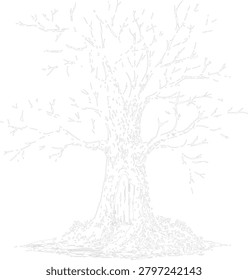 Fairy tree house outline