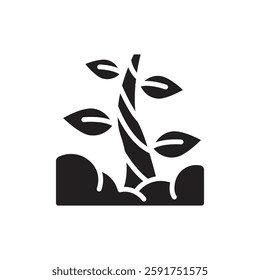 Fairytale Beanstalk Filled Icon Vector Illustration