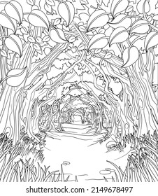 A fairytale fantasy magic woodland forest trees tunnel background landscape scene  Outline black   white coloring book page