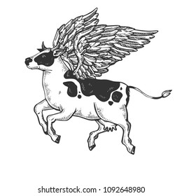 Fake flying cow farm animal engraving vector illustration. Scratch board style imitation. Black and white hand drawn image.