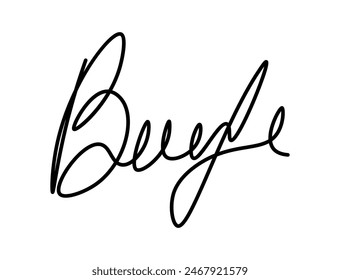 Fake manual signature for documents. Handwritten autograph. Scrawl signature. Vector illustration