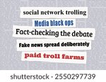 Fake news, online trolling and fact checking - modern media discourse issues. News headlines from newspapers.