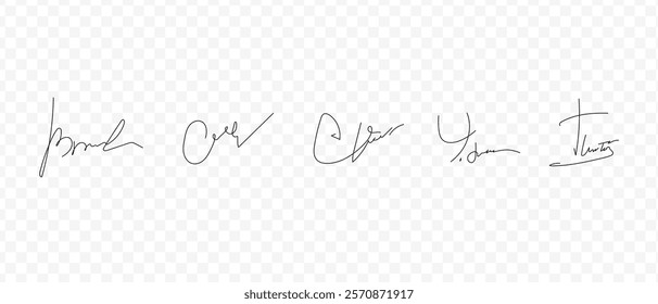 Fake signatures. Fake autograph. Personal signature calligraphy. Contrived signature. Various autographs for documents. Ink autograph	
