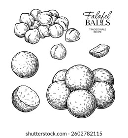 Falafel balls and chickpeas vector drawing. Fried chickpea balls pieces sketch. Arabic halal food illustration. Vegetarian fast food. Hand drawn elements for menu and package design.