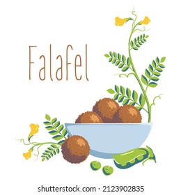 Falafel balls with salad leaves on a plate among chickpea leaves. Painted sketch. Vector illustration
