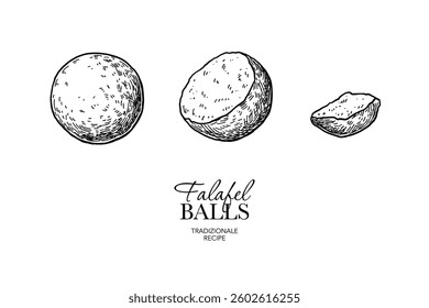 Falafel Balls vector drawing. Fried chickpea balls pieces sketch. Arabic halal food illustration. Vegetarian fast food. Hand drawn elements for menu and package design.